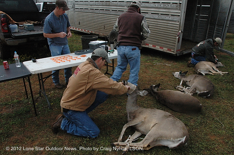 DEERCAPTURE