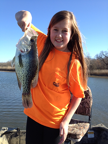 aamaggiefish