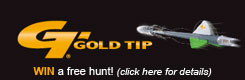 Gold Tip Arrows