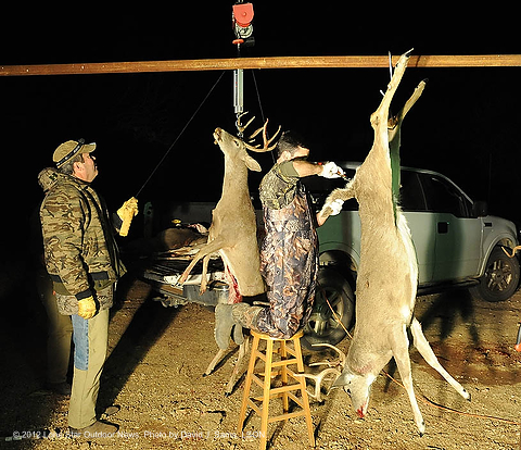 deer5