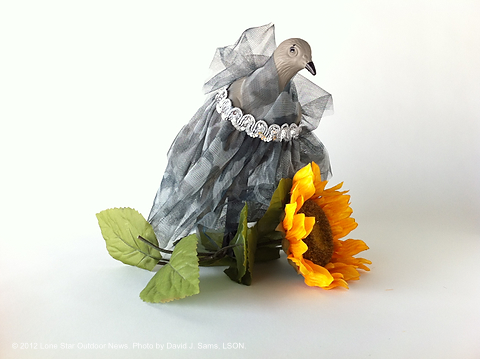 dove1