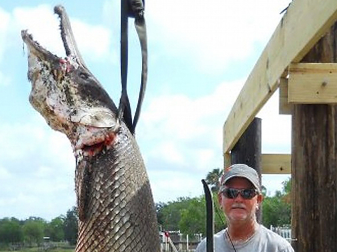 gar