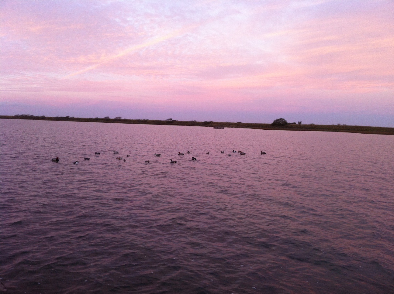photo-3