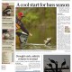 Lone Star Outdoor News reports on bass catches, salinity levels, turkey forecast in latest issue