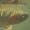A year-round rainbow trout fishery miles from Texas