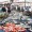 Tuna trips having major success on coast