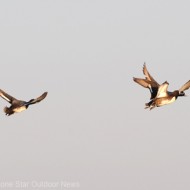 Sixteen chapters from Texas on Ducks Unlimited’s Top 100 list
