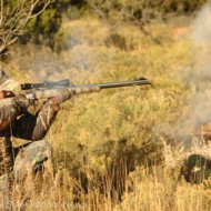 Secretaries name members of hunting, wildlife council