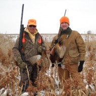 A welcome visitor on an annual pheasant hunt