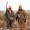 A welcome visitor on an annual pheasant hunt