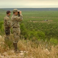 TPW: Drought still affecting turkey season
