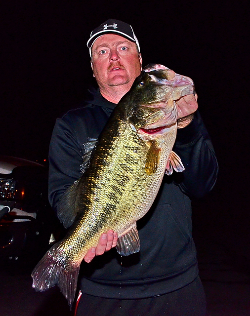 sharelunker526Comped