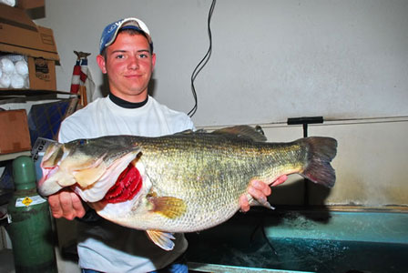 Kyle Nitschke of Willis caught  this ShareLunker  from Lake Conroe December 13. The fish weighed 13.07 pounds and was 25 inches long and 21.5 inches in girth and is a new junior  state record.  Photo by Larry D. Hodge, TPW