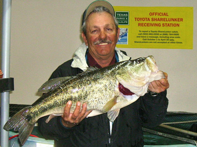 Teddy Silcox of Del Rio landed a 13.02-pounder from Lake Amistad. Photo by Angler's Lodge.