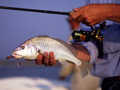 croaker-071410