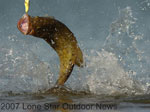 fishingnews-sm.jpg