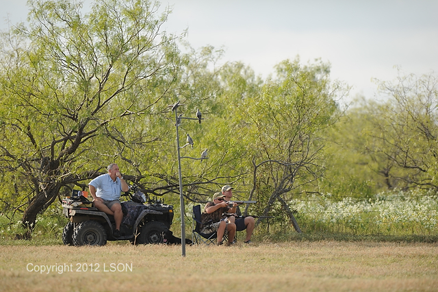 DOVE HUNT TXI 87557
