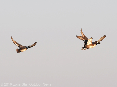 Texas chapters took 16 spots on the Ducks Unlimited Top 100 list this year. Photo by David J. Sams, LSONews.com.