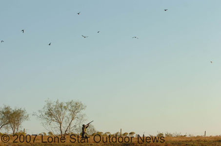 Craig Nyhus, editor of Lone Star Outdoor News, had some fast and furious action hunting near the �Hot Spot Tree�. Photo by David J. Sams