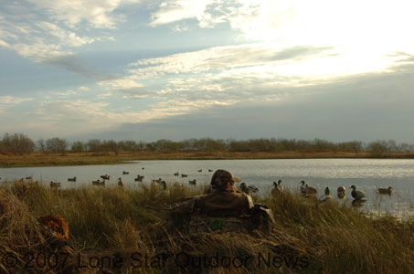 David Carroum and his golden retriever, Emma, scan the sky for approaching ducks. Photo by David J. Sams