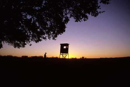Deer processors busy on opening weekend. Photo by David J. Sams