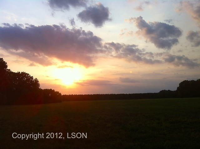 photo (24)