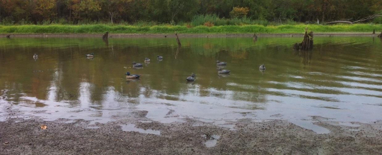photo-10