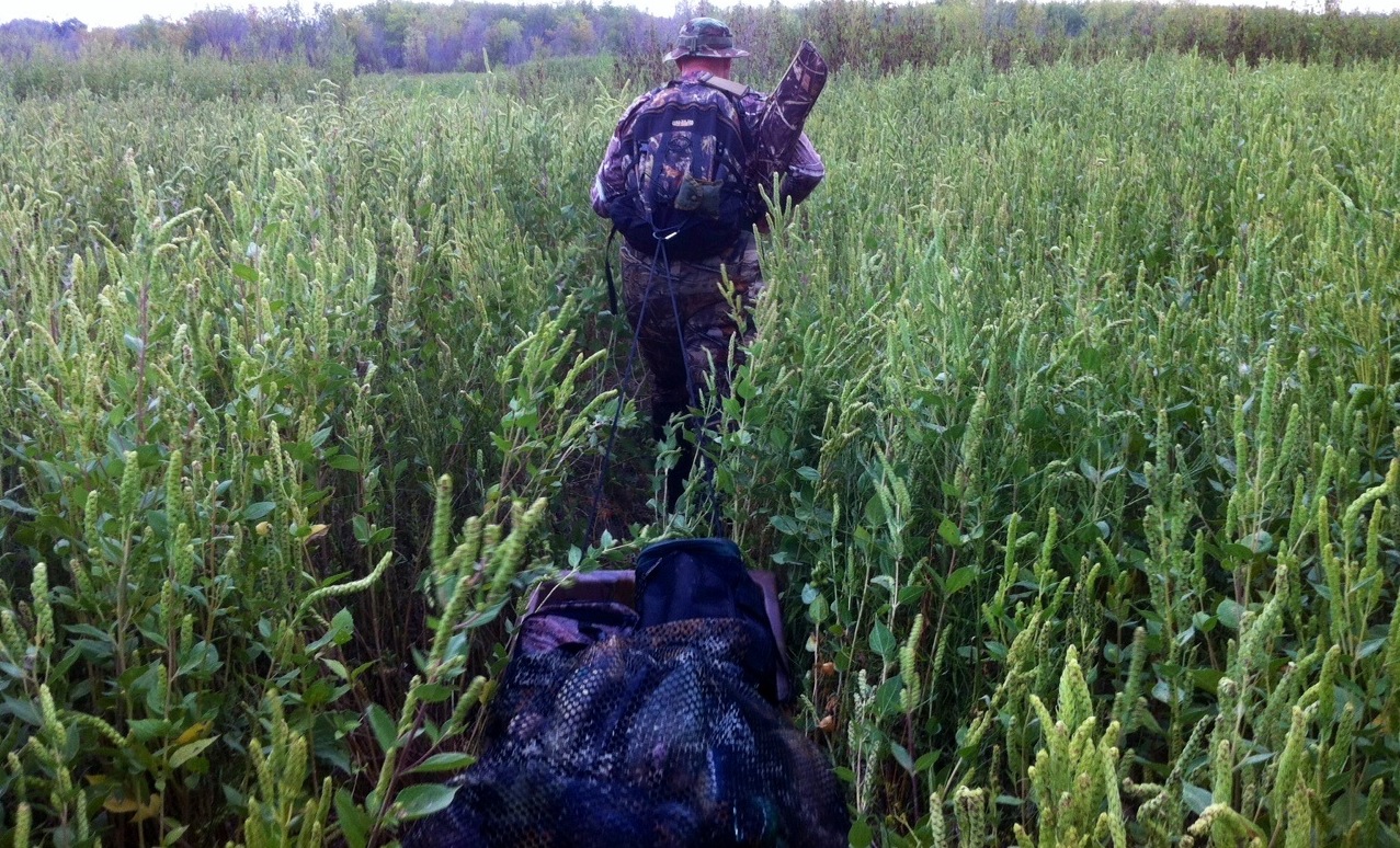photo-11