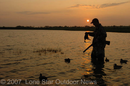 Craig Nyhus picks up his first duck of the season as the sun rises over the rolling hills near Italy Texas. Photo by David J. Sams 
