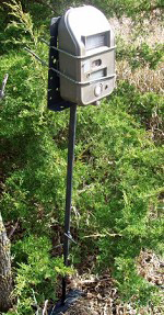 Cam Stand / Bow Hanger