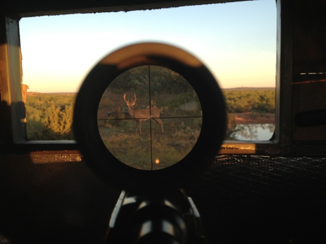 scope