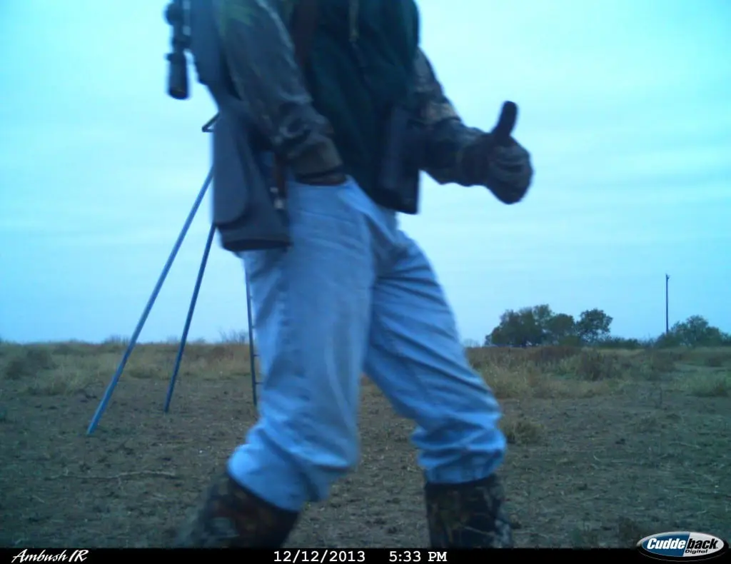 DEER CAMERA TRAP Wilson  TXI 170474