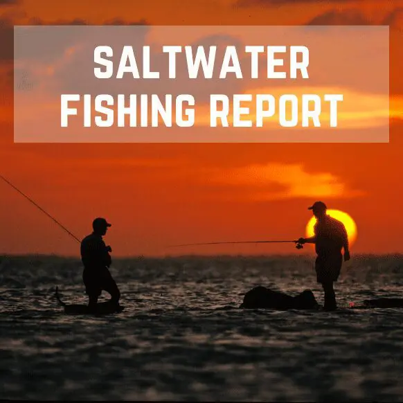Texas Saltwater Fishing Report