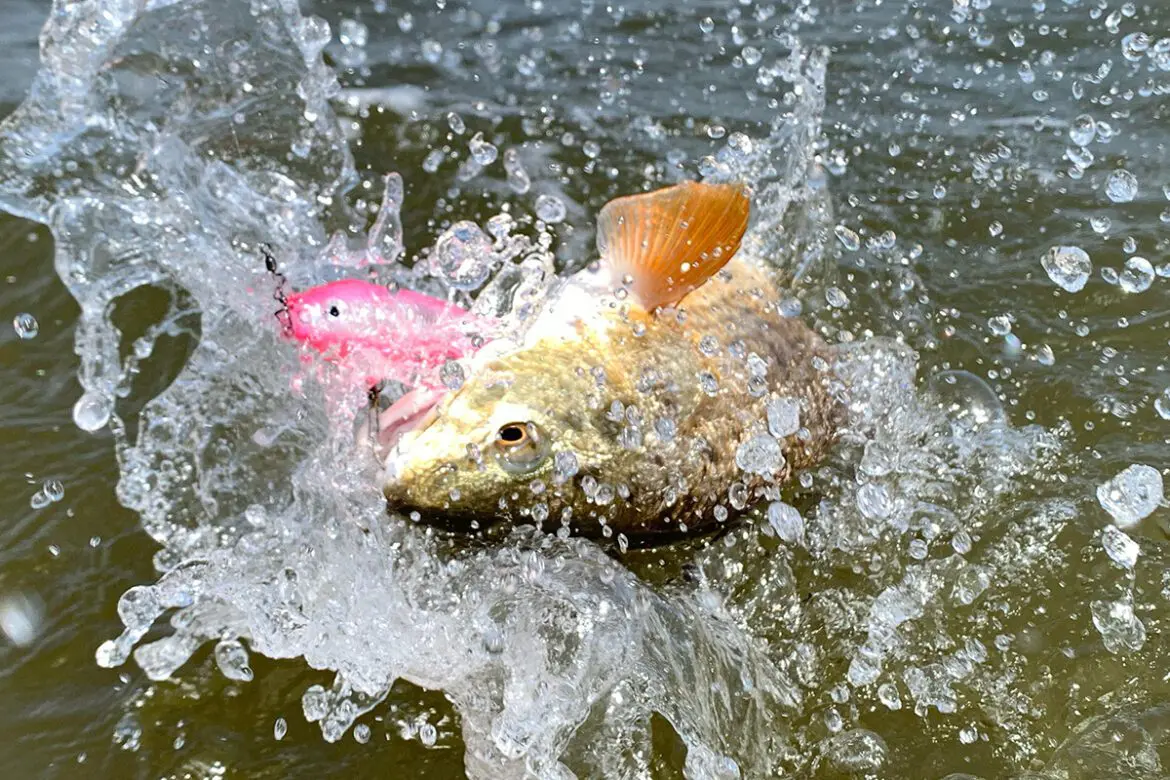 working tides for redfish
