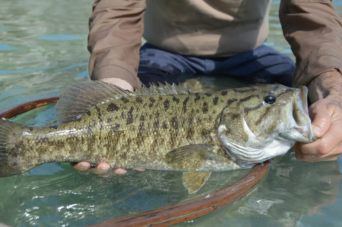 New Braunfels fly fishing