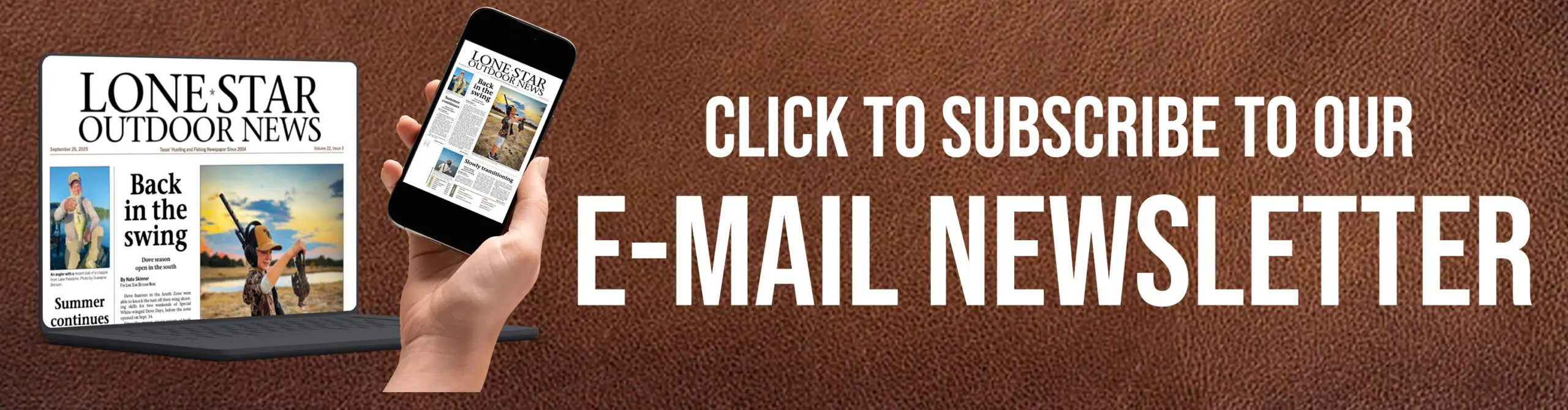 LSON Newsletter