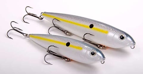 Strike King Lures releases KVD Sexy Dawg top-water bait - Texas Hunting &  Fishing