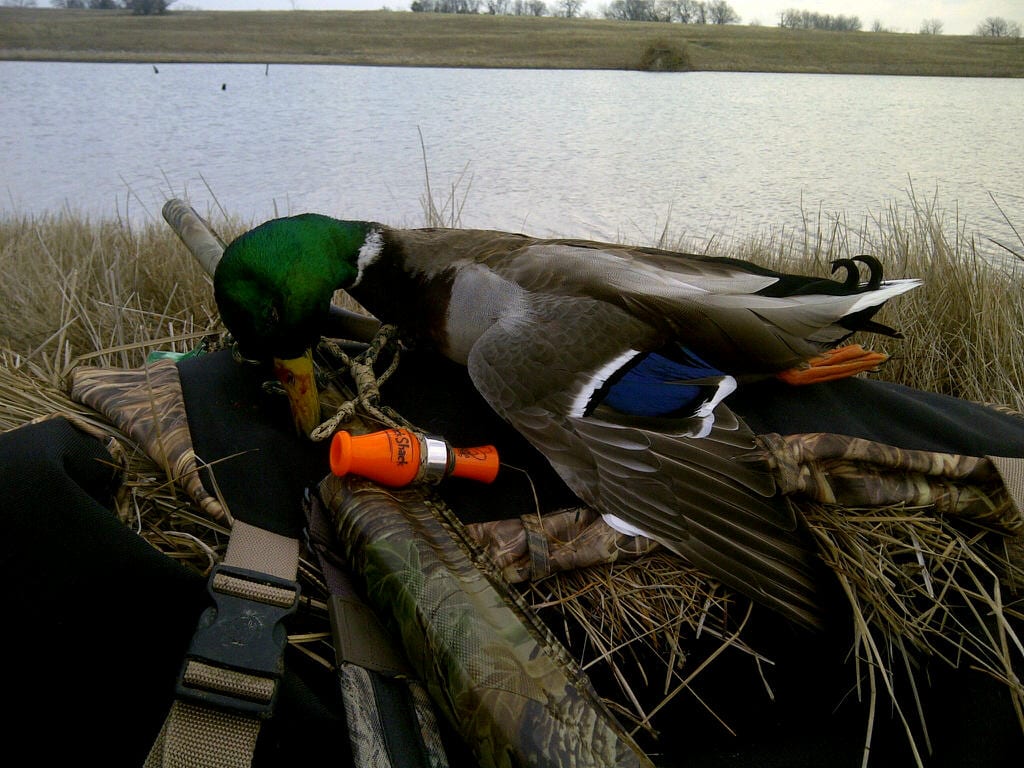 New Duck Blinds and Layouts for 2013 - Wildfowl