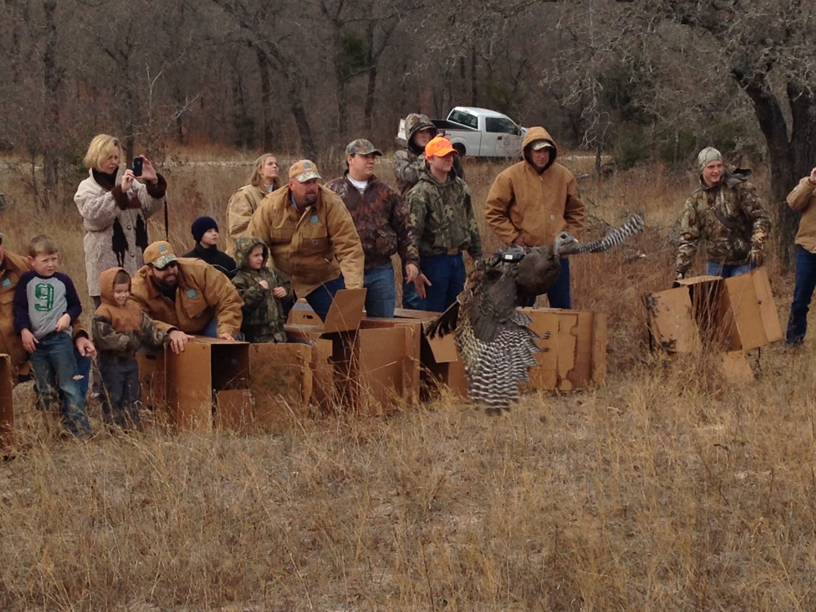 Eastern turkeys released to new Texas home Texas Hunting & Fishing