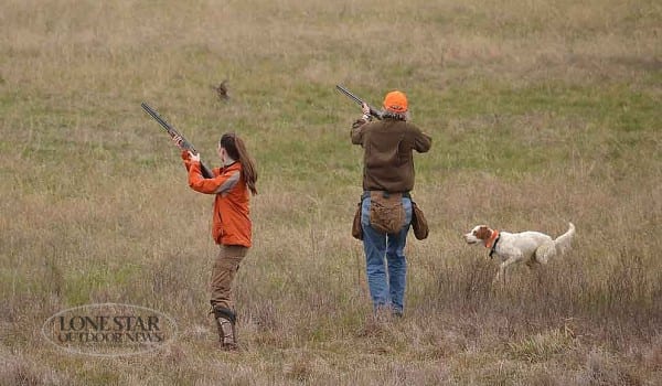 QUAIL HUNT TXI 108684