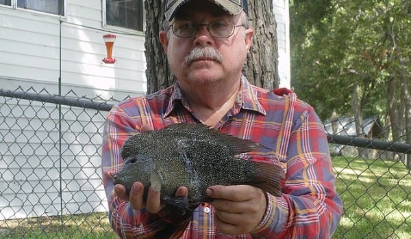 2 02 Pound Lake Dunlap Rio Grande Cichlid Certified As World Record