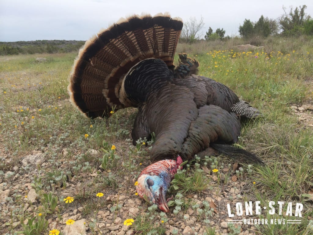 Photo by Lone Star Outdoor News