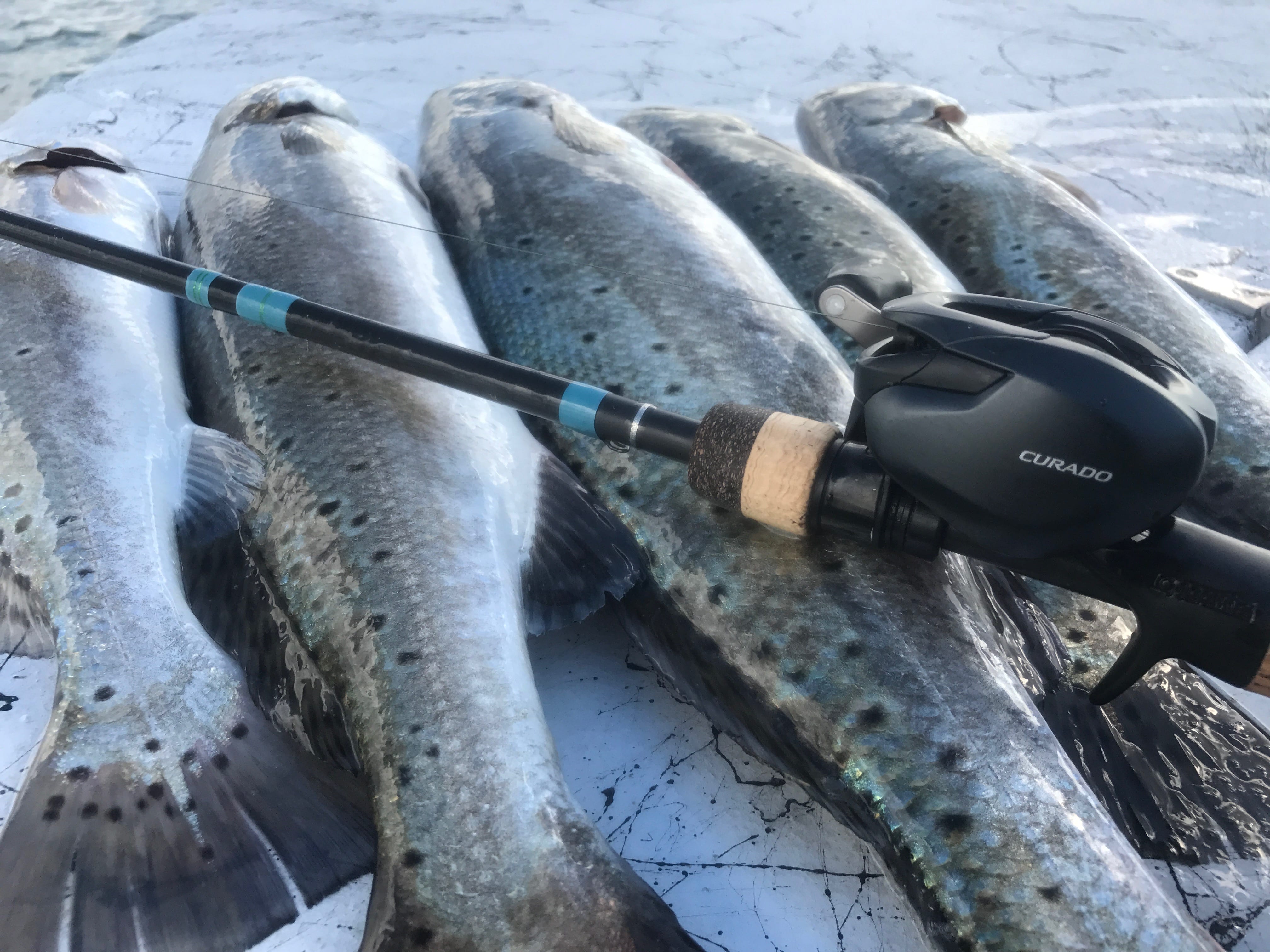 Curado 200 K Series: The new casting reel for bass, coastal fishing - Texas  Hunting & Fishing