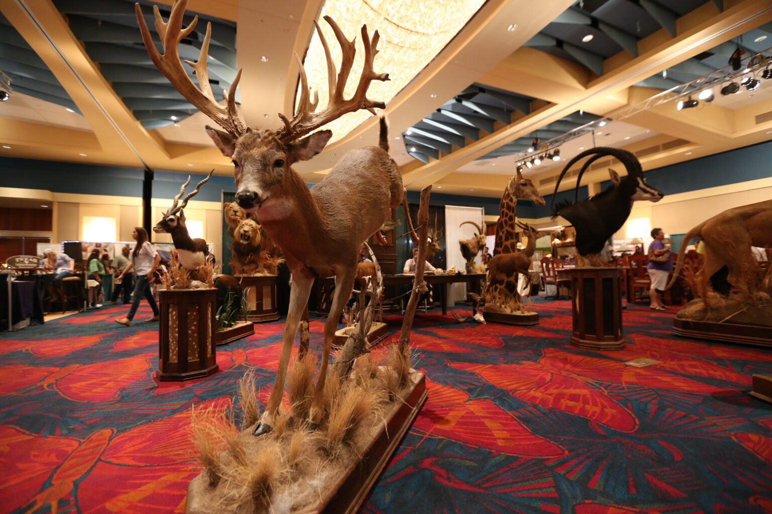 Texas Hunters & Sportsman’s Expo the best hunting and fishing show in