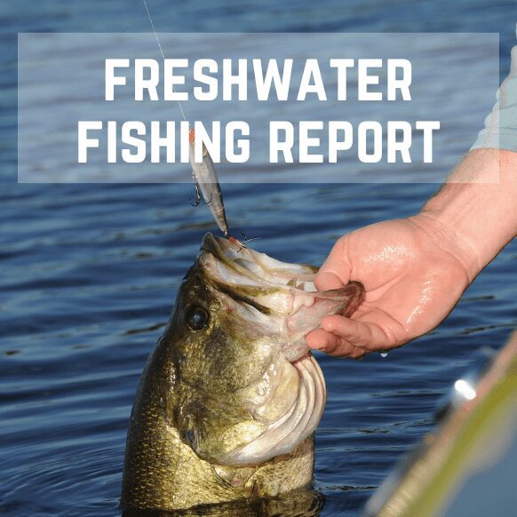 Texas Freshwater Fishing Report