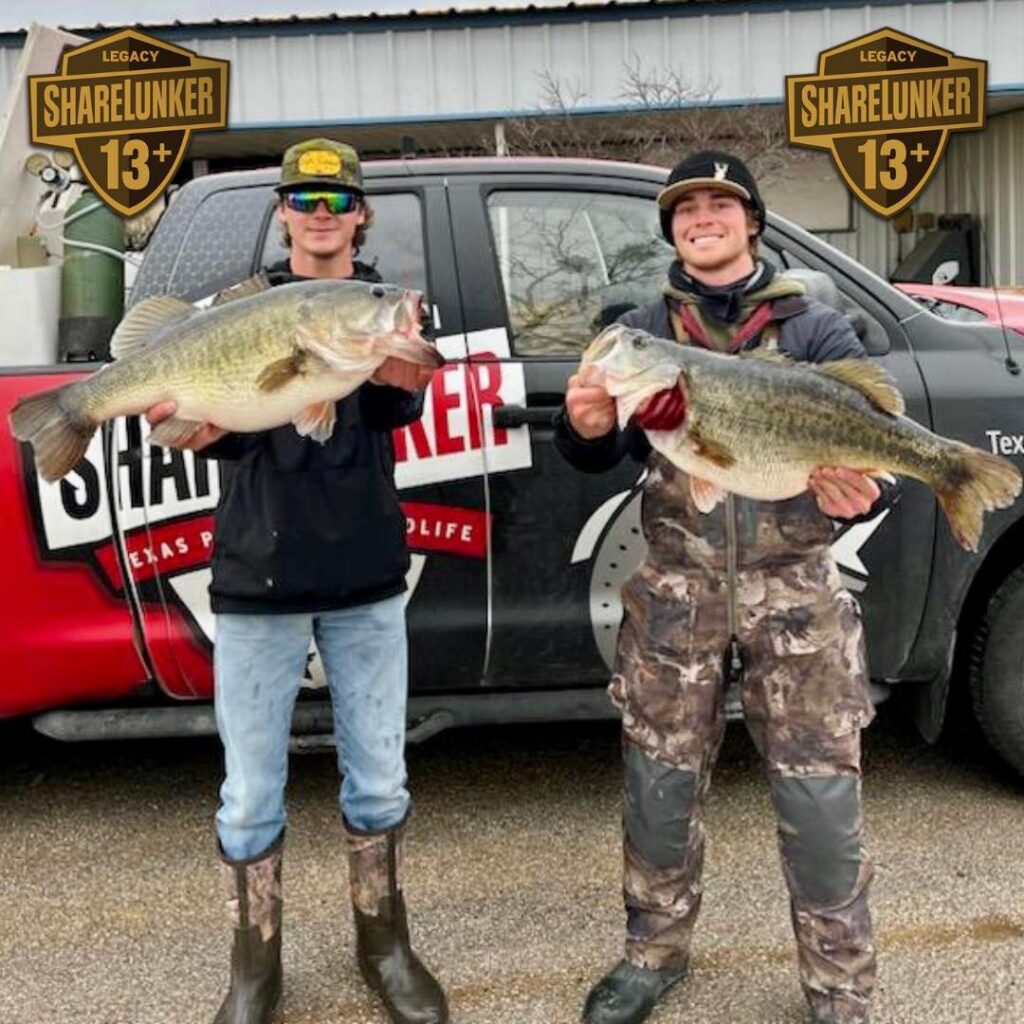 Four big bass in four days on O.H. Ivie