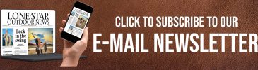 LSON Newsletter